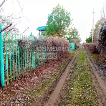 Дом в Волгоградская область, Волгоград Рябинушка СНТ, 327 (20 м)