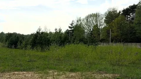 Участок в Московская область, Раменский муниципальный округ, посёлок ...
