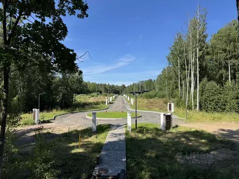 Участок в Санкт-Петербург пос. Ушково,  (32.0 сот.)