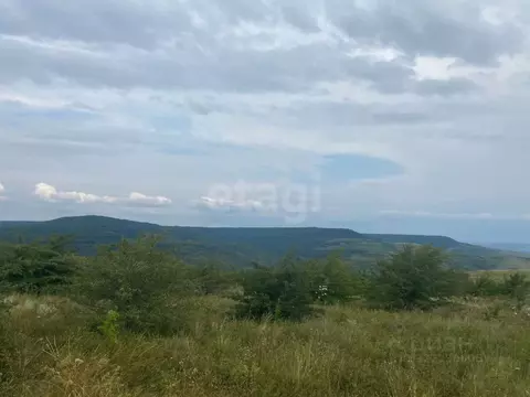 Участок в Ставропольский край, Ставрополь Встреча садовое ...