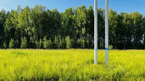 Участок в Московская область, Дмитровский муниципальный округ, с. ...