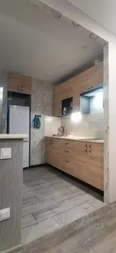 Студия Тульская область, Тула Новомосковская ул., 14 (30.0 м)