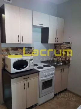 Студия Красноярский край, Красноярск Лесопарковая ул., 25 (28.5 м)