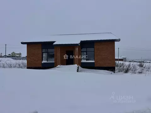 Дом в Пензенская область, с. Бессоновка проезд 2-й Магистральный (125 ...