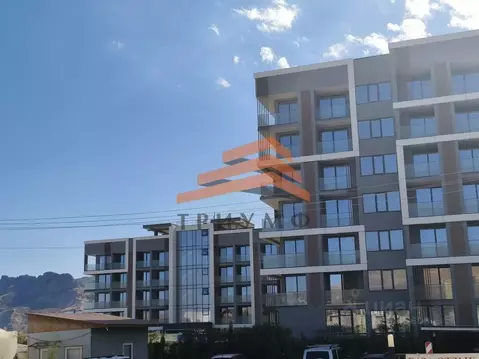 Студия Крым, Феодосия муниципальный округ, Коктебель пгт ул. ...