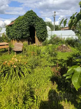 Участок в Калужская область, Боровский район, Кривское с/пос, д. ...