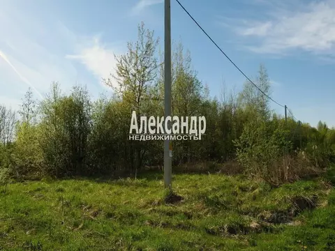 Участок в Санкт-Петербург пос. Понтонный, Заречье тер.,  (12.0 сот.)