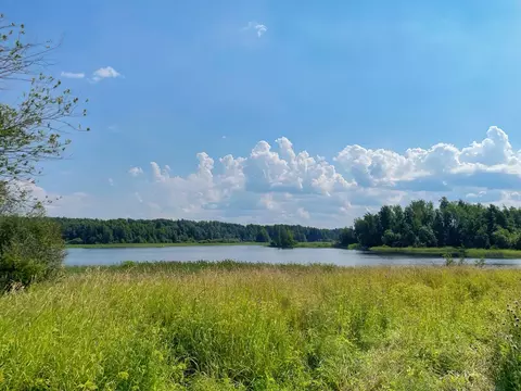 Участок в Ленинградская область, Приозерский район, Ромашкинское ...