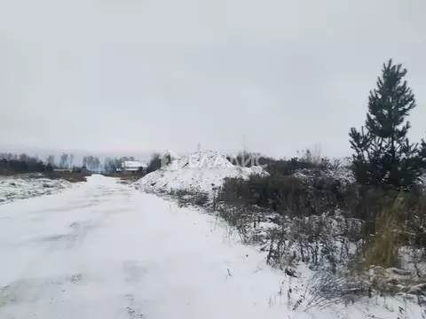 Участок в Нижегородская область, с. Безводное  (10.0 сот.)