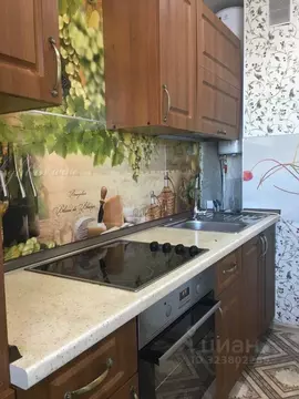 2-к кв. Свердловская область, Екатеринбург ул. Химмашевская, 11 (48.0 ...