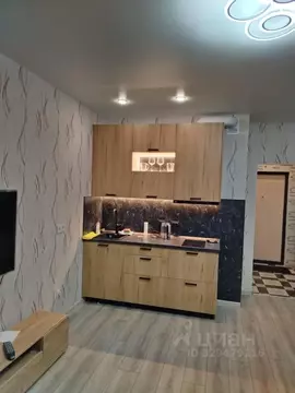 Студия Санкт-Петербург пос. Шушары, Школьная ул., 17 (27.0 м)