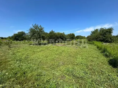 Участок в Брянская область, Брянский район, Снежское с/пос, пос. ...