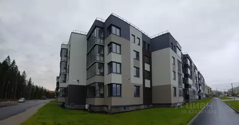 Студия Ленинградская область, Сертолово Всеволожский район, ул. ...