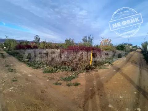 Участок в Ростовская область, Родионово-Несветайский район, ...