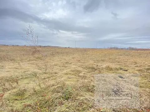 Участок в Челябинская область, Сосновский район, Саккуловское с/пос, ...