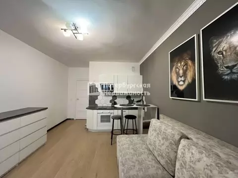 Студия Ленинградская область, Кудрово г. Всеволожский район, Заневское ...