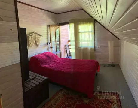 Комната Алтай, Чемальский район, с. Турбаза Катунь Лесной пер., 5