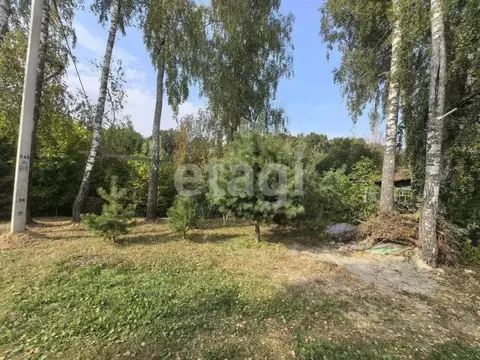 Участок в Брянская область, Брянск Дружба-2 садоводческое объединение, ...