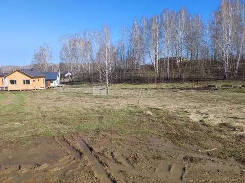 Участок в Новосибирская область, Новосибирский район, Раздольненский ...