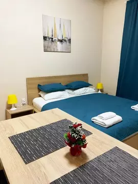 1-к кв. Санкт-Петербург Пулковское ш., 14Г (22.0 м)