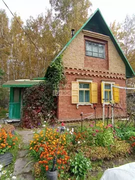 Дом в Омская область, Омск СОСН Мир тер., аллея 10-я (25 м)