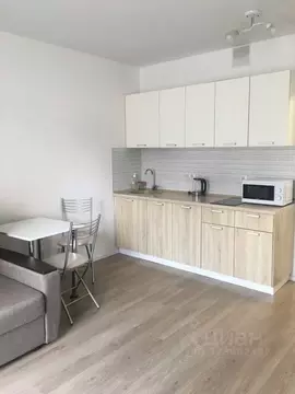 Студия Московская область, Люберцы ул. Летчика Ларюшина, 6к1 (23.2 м)