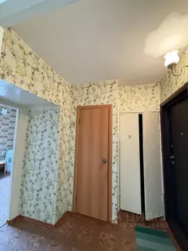 1-к кв. Алтайский край, Бийск Ударная ул., 31 (38.7 м)