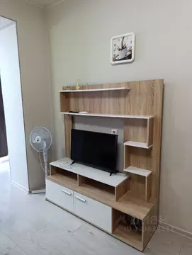 Студия Новосибирская область, Новосибирск Стартовая ул., 1 (30.0 м)