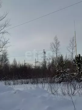 Участок в Алтайский край, Первомайский район, с. Березовка ул. Гоголя, ...