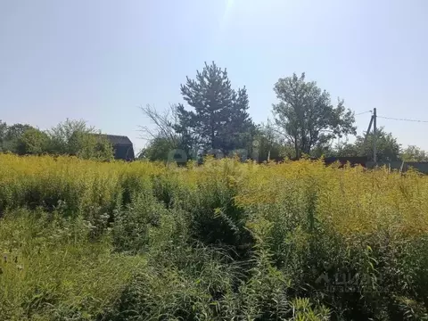 Участок в Брянская область, Брянск Натуралист СДТ,  (5.5 сот.)