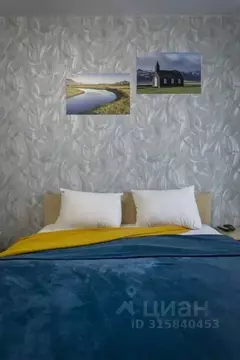 1-к кв. Алтайский край, Барнаул просп. Строителей, 18 (26.0 м)