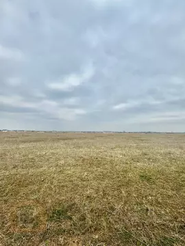 Участок в Крым, Сакский район, с. Уютное ул. Миндальная (8.0 сот.)