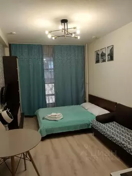 Студия Санкт-Петербург Пулковское ш., 14Е (29.0 м)