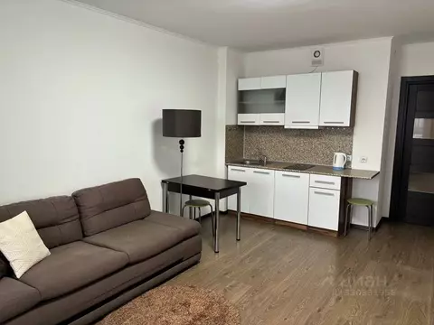Студия Санкт-Петербург просп. Энергетиков, 9к6 (27.0 м)