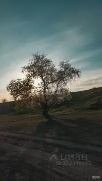 Участок в Новосибирская область, Новосибирский район, Морской ...