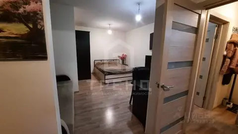 1-к кв. Санкт-Петербург дор. Муринская, 10к1 (30.2 м)