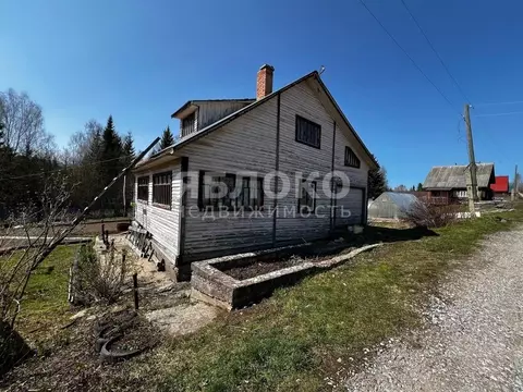 Дом в Пермский край, Березники № 107 СТ, 41 (54 м)