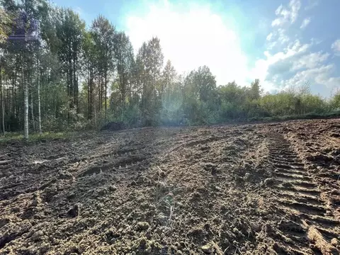 Участок в Ленинградская область, Всеволожский район, Токсовское ...