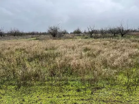 Участок в Ростовская область, Азов Азовский район, ул. Победы (6.0 ...