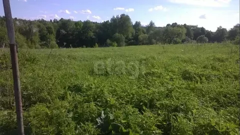 Участок в Калужская область, Жуковский муниципальный округ, Трубино ...