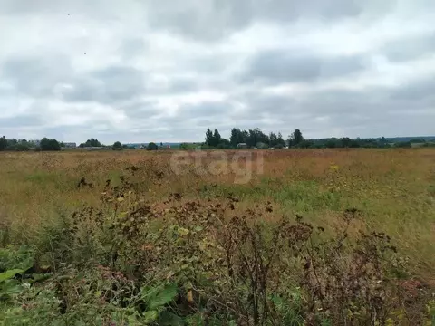 Участок в Ярославская область, Ярославский муниципальный округ, с. ...