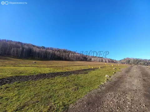 Участок в село Бирюля, Таркольская улица, 6 (15 м)