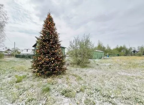 Участок в Санкт-Петербург Сергиево тер., ул. Спортивная, 6 (12.5 сот.)