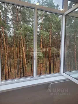 2-к кв. Курская область, Курск Пески мкр, ул. 3-я Песковская, 44 (50.7 ...