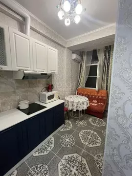 1-к кв. Краснодарский край, Сочи Пластунская ул., 188 (21.0 м)