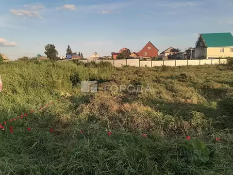 Участок в Новосибирская область, Новосибирский район, с. Криводановка ...