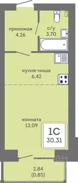 Студия Пермский край, Пермь Кировоградская ул., 28 (30.31 м)