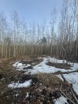 Участок в Иркутская область, Иркутск Альпийская ул. (15.0 сот.)