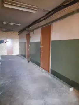 Помещение свободного назначения в Курганская область, Курган ...