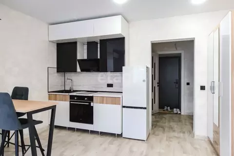 Студия Амурская область, Благовещенский район, с. Чигири ул. Красивая, ...